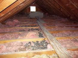 rodent infestation in Chatham attic