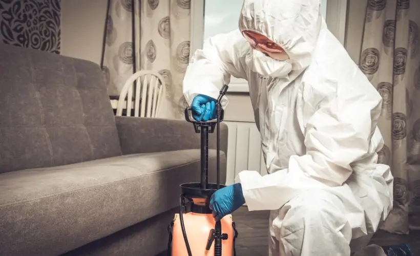 Right Pest Control Company