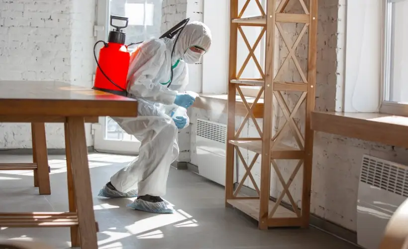 Pest control exterminator disinfect the organizer in Windor.