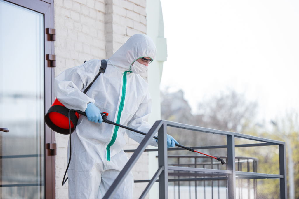 commercial building pest control solutions windsor